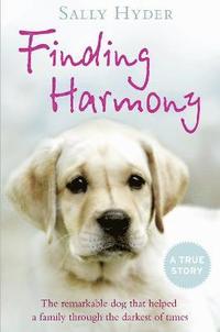 bokomslag Finding Harmony