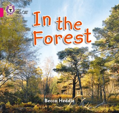 Becca Heddle - In the Forest, Häftad