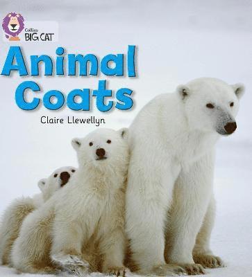 Animal Coats 1
