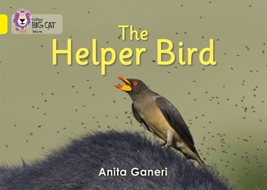 Anita Ganeri - Helper Bird, Häftad