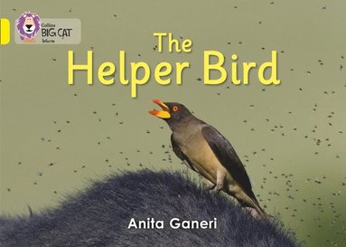 bokomslag Helper Bird