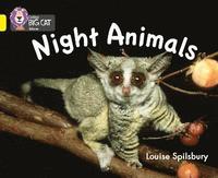 bokomslag Night Animals