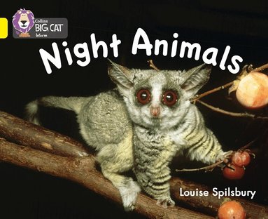Louise Spilsbury - Night Animals, Häftad