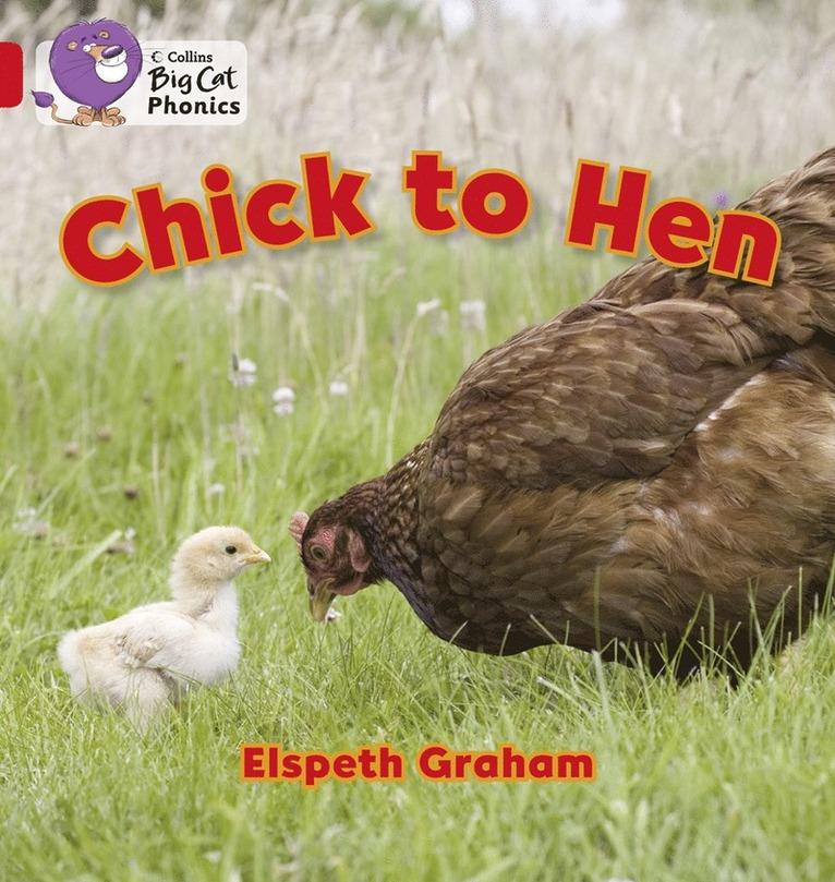 Elspeth Graham - Chick to Hen, Häftad