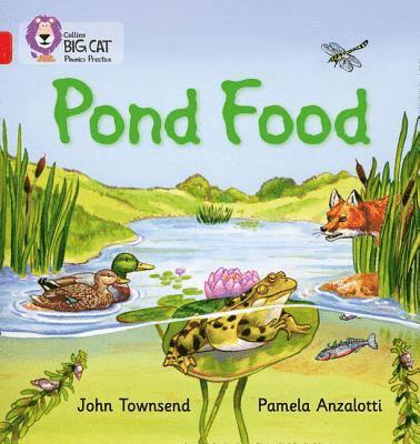 bokomslag Pond Food