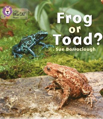 Frog or Toad? 1