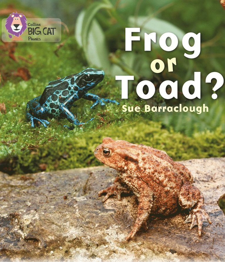 Frog or Toad? 1