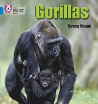 bokomslag Gorillas