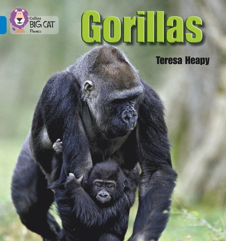 Gorillas 1