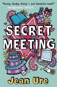 bokomslag Secret Meeting