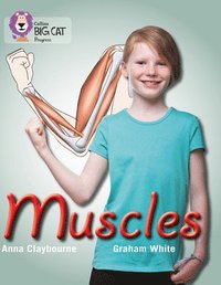 bokomslag Muscles