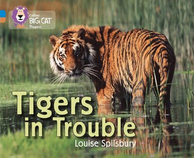 Louise Spilsbury - Tigers in Trouble, Häftad