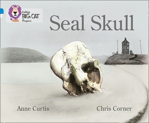 Seal Skull 1