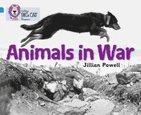 bokomslag Animals in War