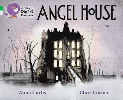 Anne Curtis - Angel House, Häftad