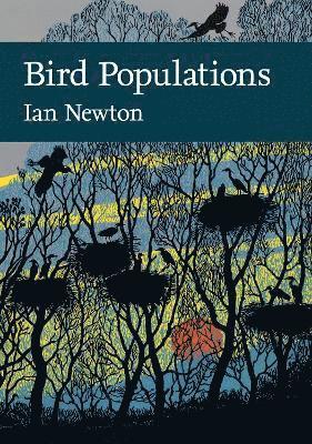Ian Newton - Bird Populations, Inbunden
