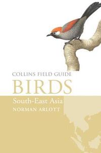 bokomslag Birds of South-East Asia