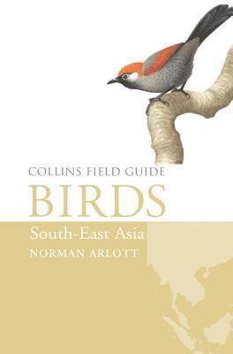 Birds of South-East Asia 1