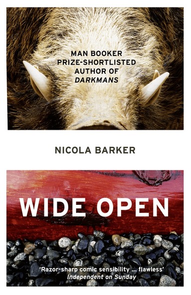 Nicola Barker - Wide Open, Häftad