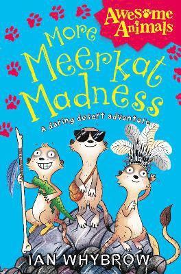 More Meerkat Madness 1