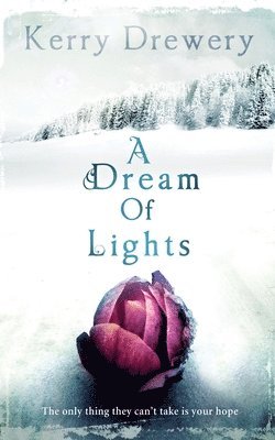 A Dream of Lights 1