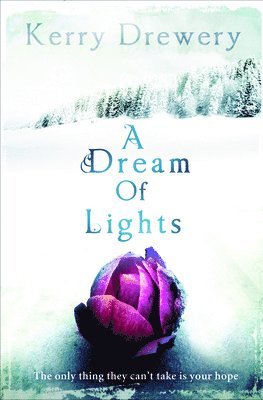 Drewery, K: Dream of Lights