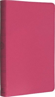 bokomslag Holy Bible: English Standard Version (ESV) Anglicised Pink Thinline edition