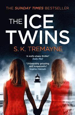 bokomslag The Ice Twins