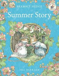 bokomslag Summer Story