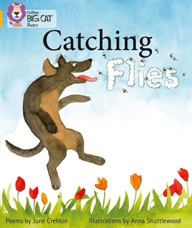 June Crebbin - Catching Flies, Häftad
