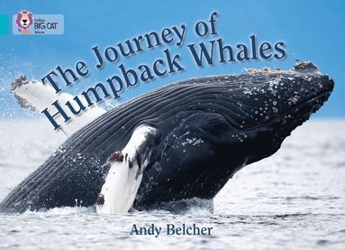 Andy Belcher - Journey of Humpback Whales, Häftad