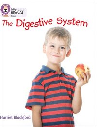 bokomslag The Digestive System