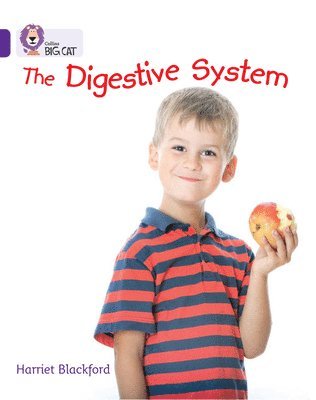 bokomslag The Digestive System