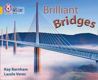 bokomslag Brilliant Bridges