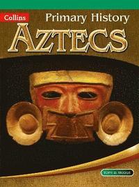 bokomslag Aztecs