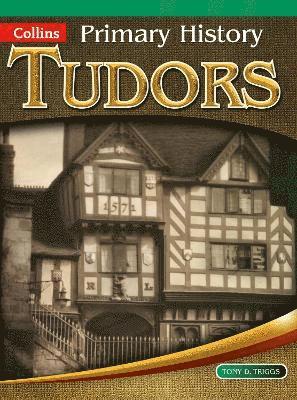 bokomslag Tudors