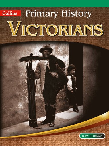 bokomslag Victorians