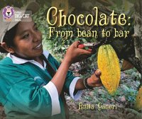 bokomslag Chocolate: from Bean to Bar