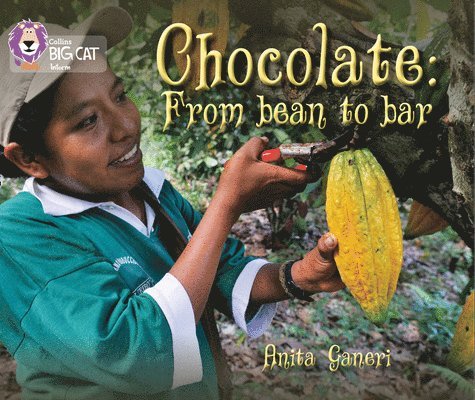 Chocolate: from Bean to Bar 1