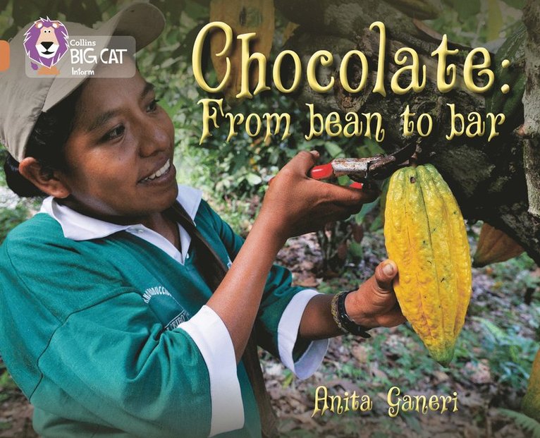 Chocolate: from Bean to Bar 1