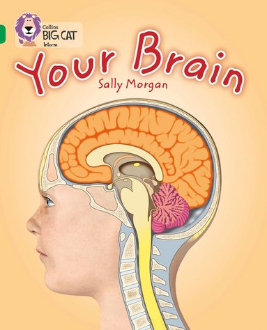 Sally Morgan - Your Brain, Häftad