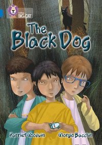 bokomslag The Black Dog