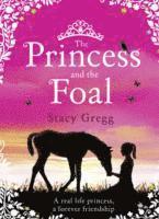 bokomslag Princess and the Foal