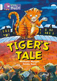bokomslag Tiger's Tales