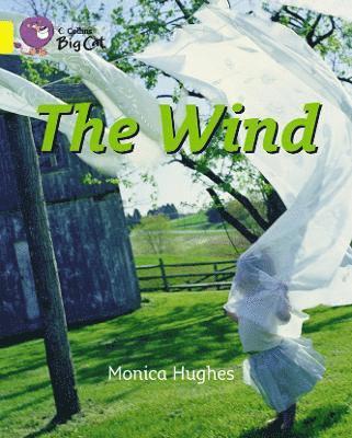 Monica Hughes - Hughes, M: Wind Workbook, Häftad