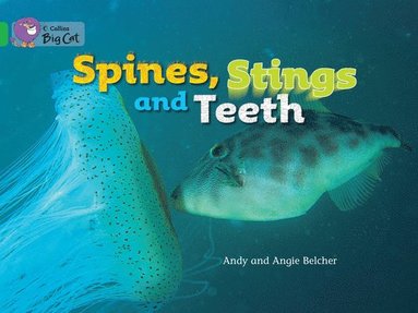 bokomslag Spines, Stings And Teeth