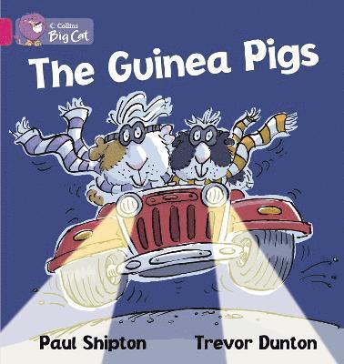 Paul Shipton - Shipton, P: Guinea Pigs Workbook, Häftad
