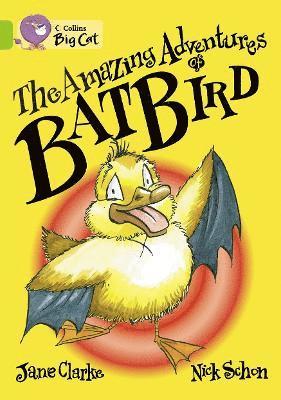 Clarke, J: Amazing Adventures of Batbird Workbook