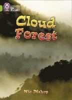 bokomslag Cloud Forest