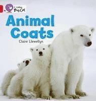 bokomslag Collins Big Cat - Animal Coats